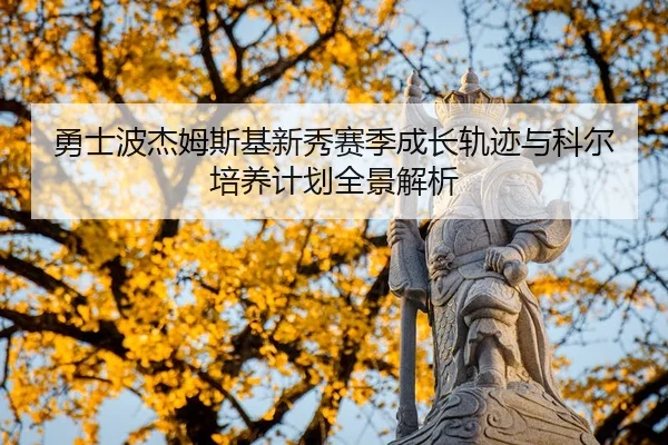 勇士波杰姆斯基新秀赛季成长轨迹与科尔培养计划全景解析